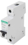 B6 10kA 1P MCB (1 Module Width)
